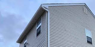 Best Siding Painting and Refinishing  in Blue Mound, IL